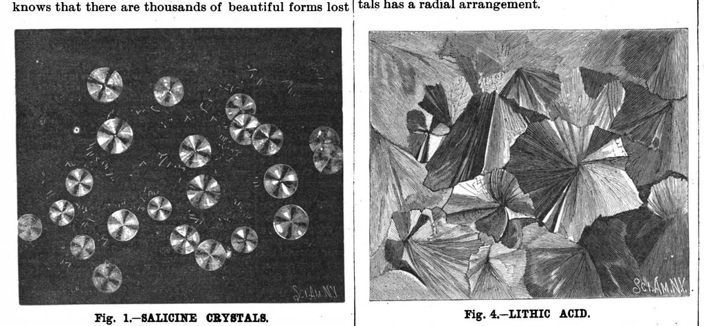An illustration from Scientific American, Vol. 56, No. 21 (May 1887), 1887, leaf 10