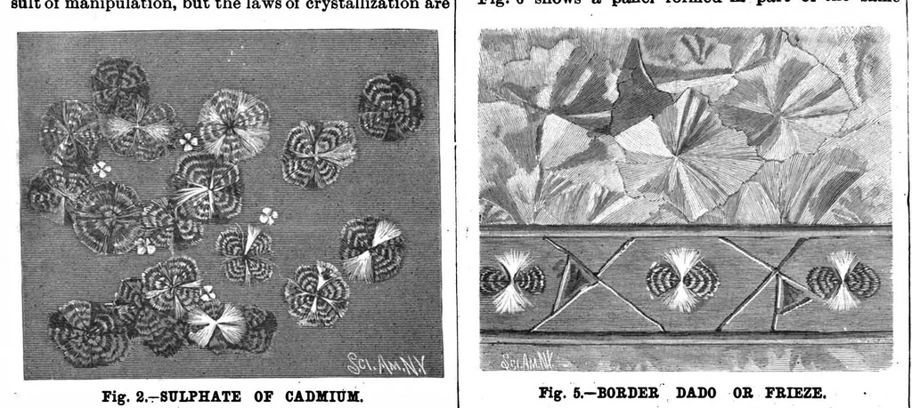 An illustration from Scientific American, Vol. 56, No. 21 (May 1887), 1887, leaf 10