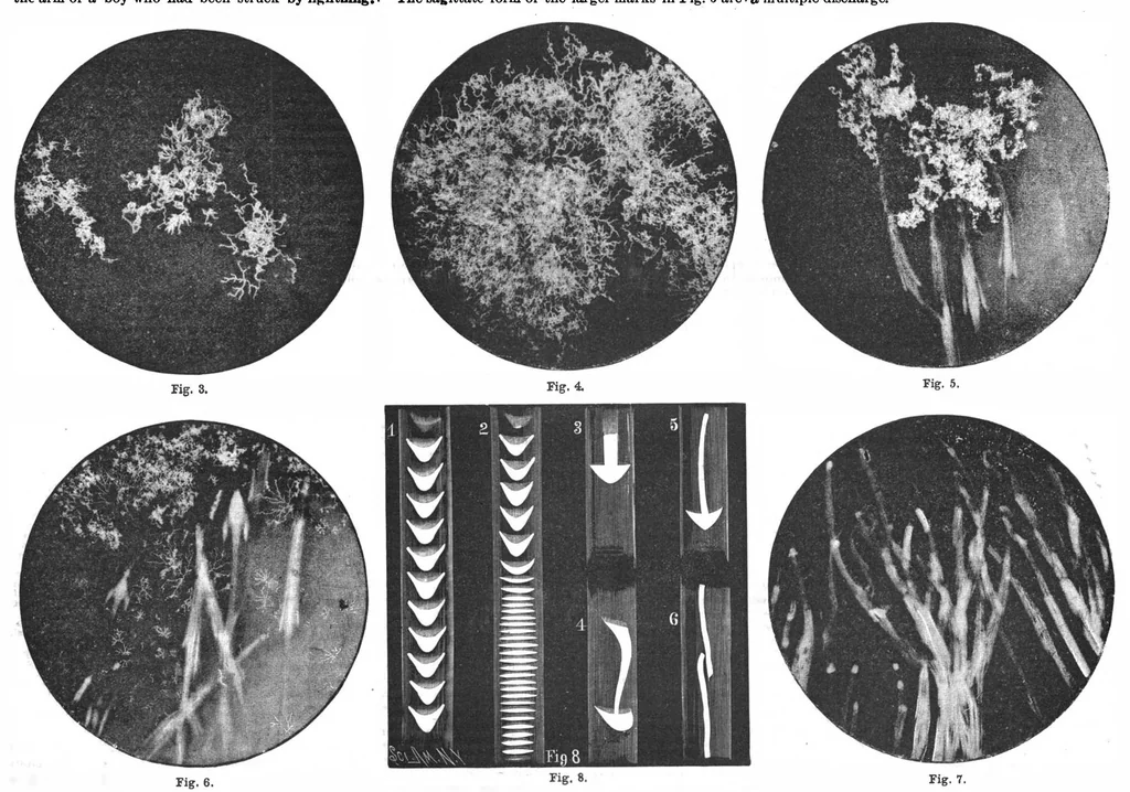 An illustration from Scientific American, Vol. 56, No. 22 (May 1887), 1887, leaf 10