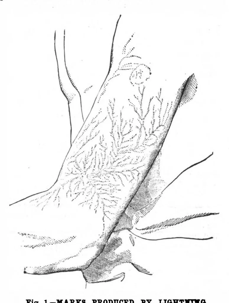 An illustration from Scientific American, Vol. 56, No. 22 (May 1887), 1887, leaf 10