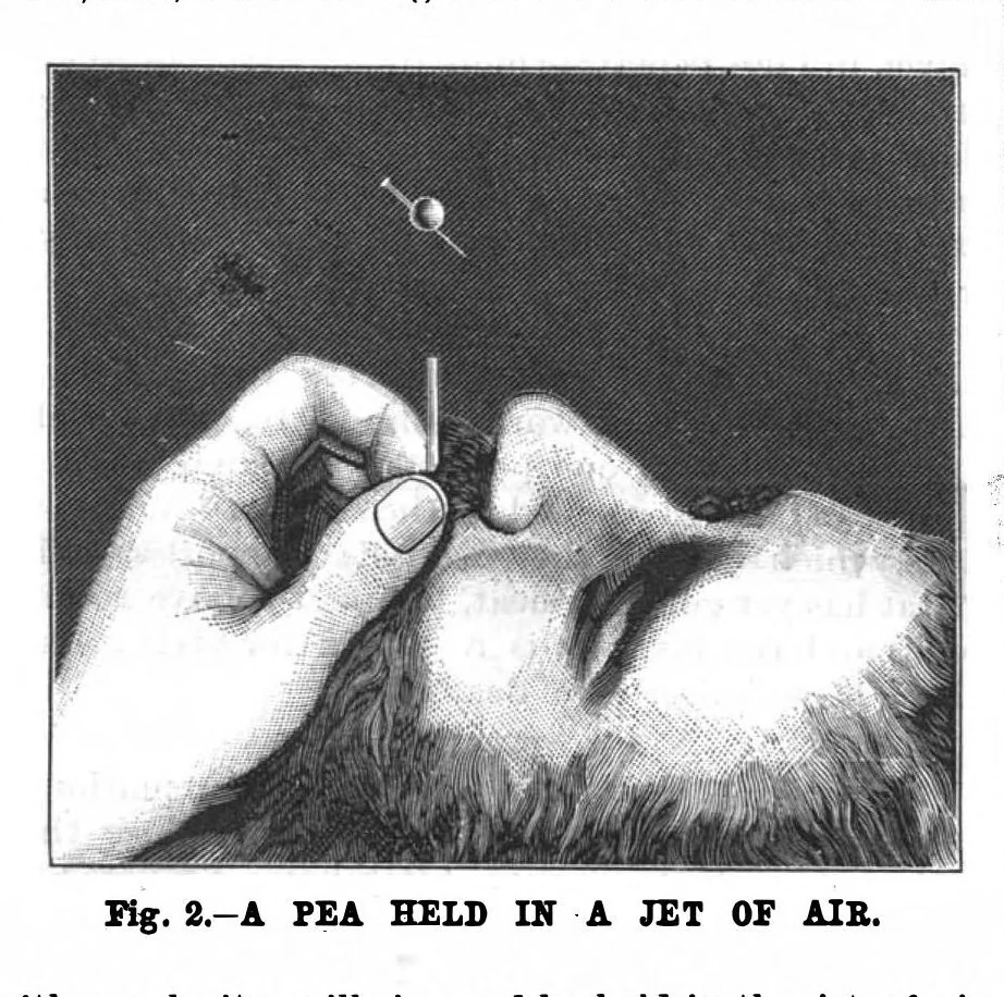 An illustration from Scientific American, Vol. 56, No. 22 (May 1887), 1887, leaf 7