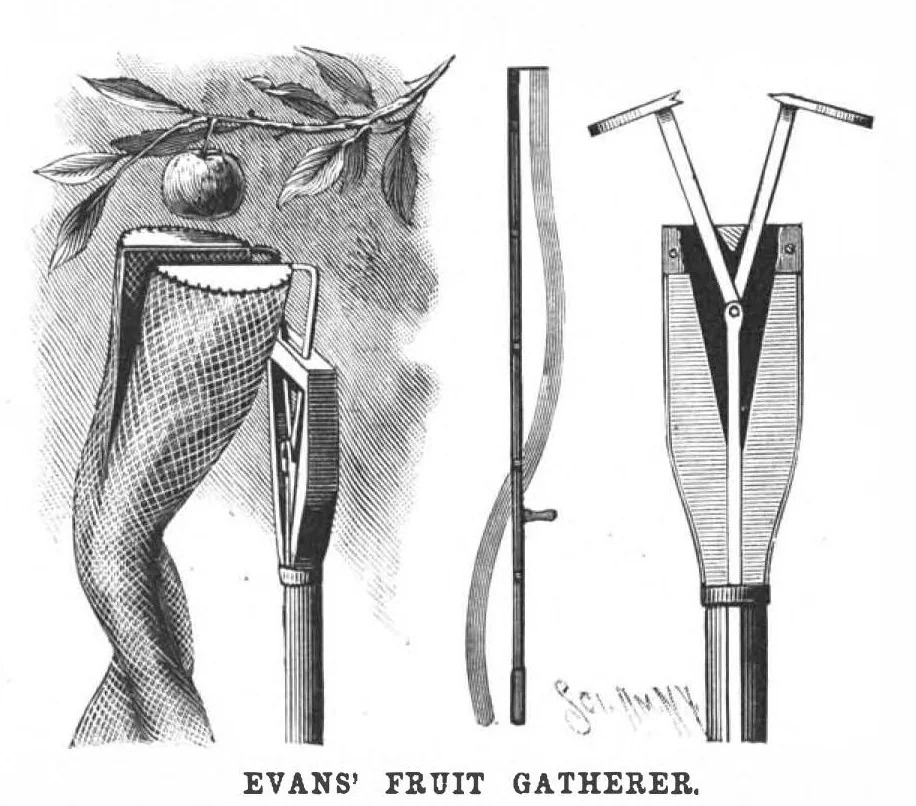 An illustration from Scientific American, Vol. 56, No. 24 (June 1887), 1887, leaf 3