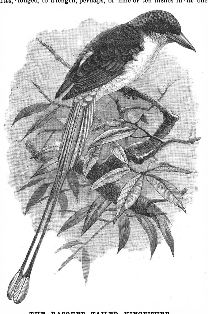 An illustration from Scientific American, Vol. 57, No. 3 (July 1887), 1887, leaf 10
