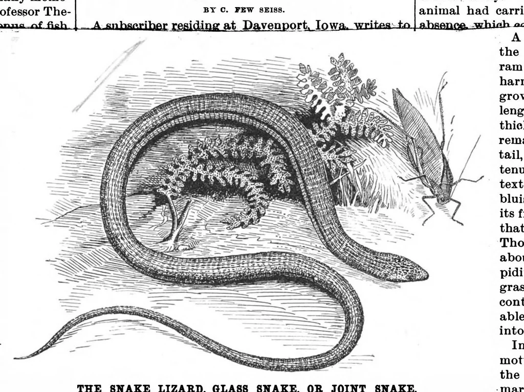 An illustration from Scientific American, Vol. 57, No. 10 (September 1887), 1887, leaf 9