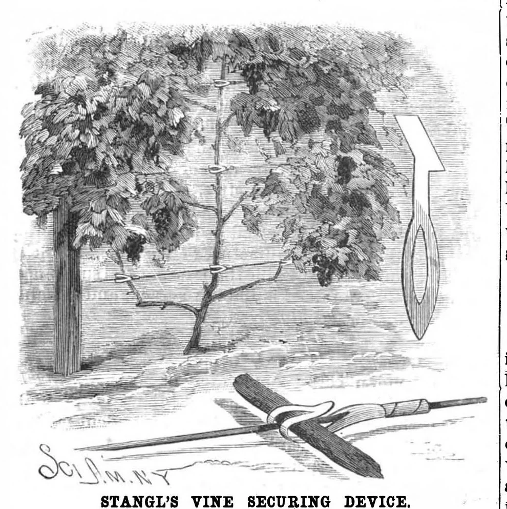 An illustration from Scientific American, Vol. 57, No. 11 (September 1887), 1887, leaf 4