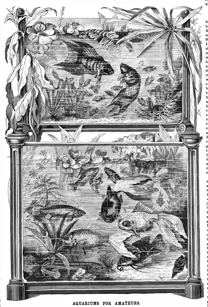An illustration from Scientific American, Vol. 57, No. 22 (November 1887), 1887, leaf 8