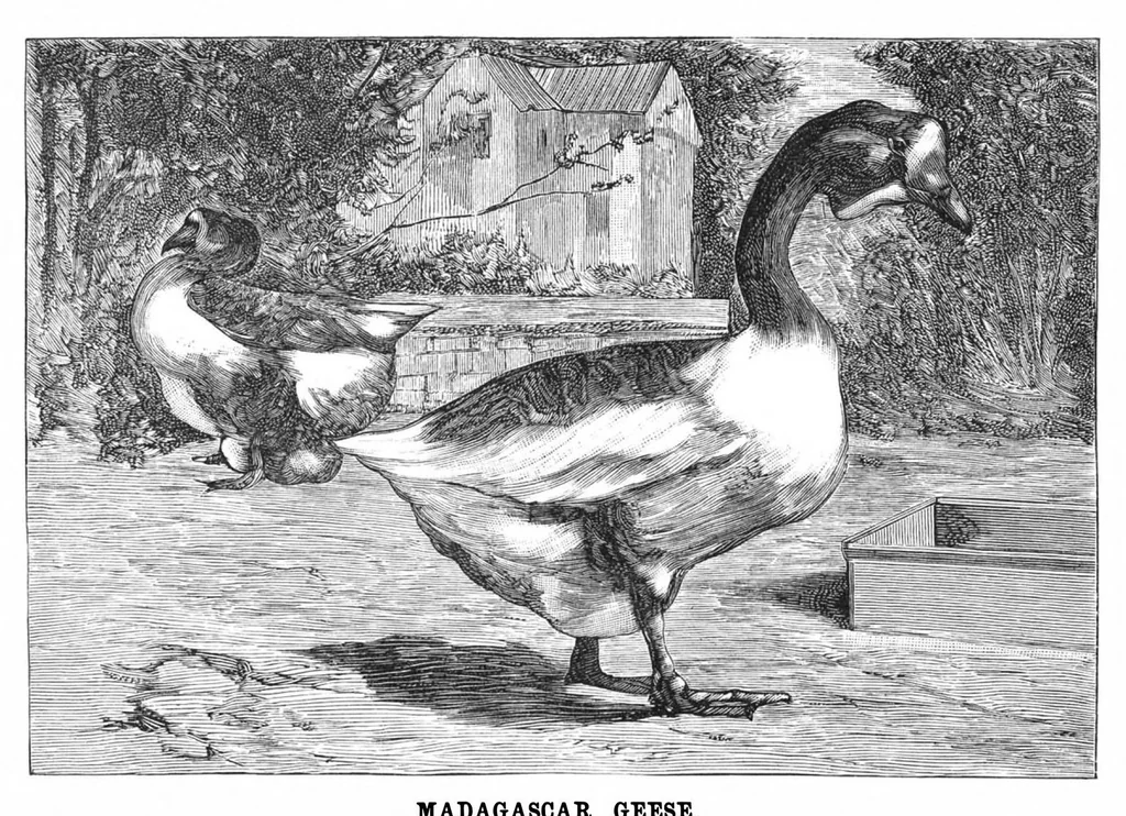 An illustration from Scientific American, Vol. 57, No. 23 (December 1887), 1887, leaf 10