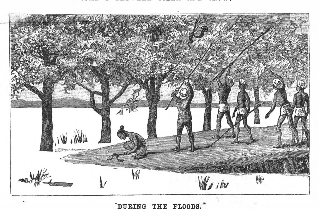 An illustration from Scientific American, Vol. 58, No. 2 (January 1888), 1888, leaf 7