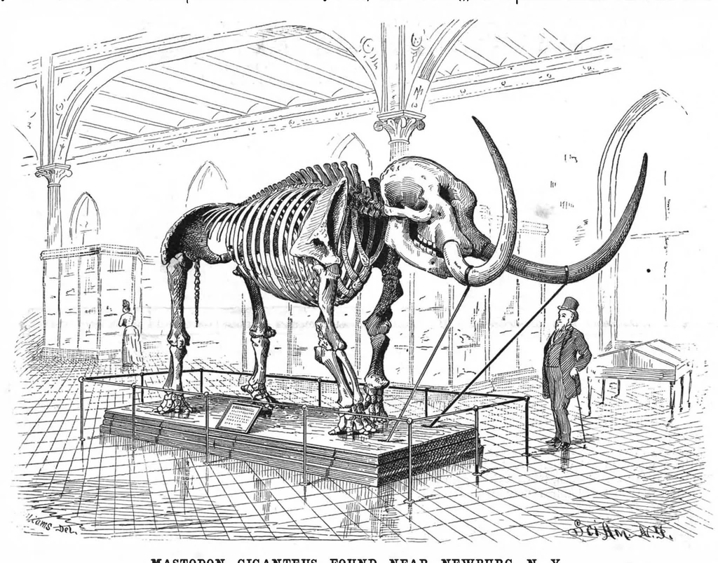 An illustration from Scientific American, Vol. 58, No. 3 (January 1888), 1888, leaf 8