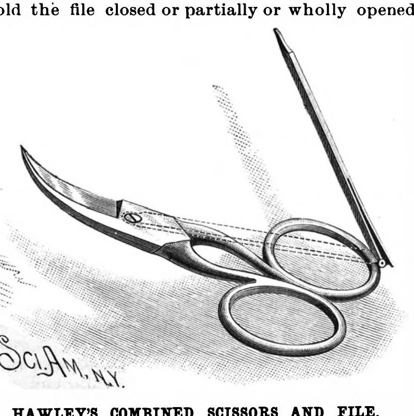 An illustration from Scientific American, Vol. 58, No. 5 (February 1888), 1888, leaf 4
