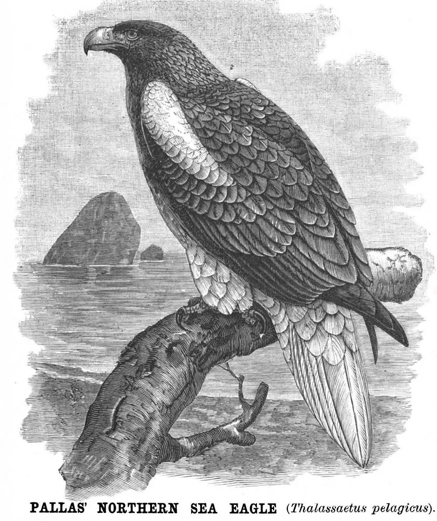 An illustration from Scientific American, Vol. 58, No. 10 (March 1888), 1888, leaf 10