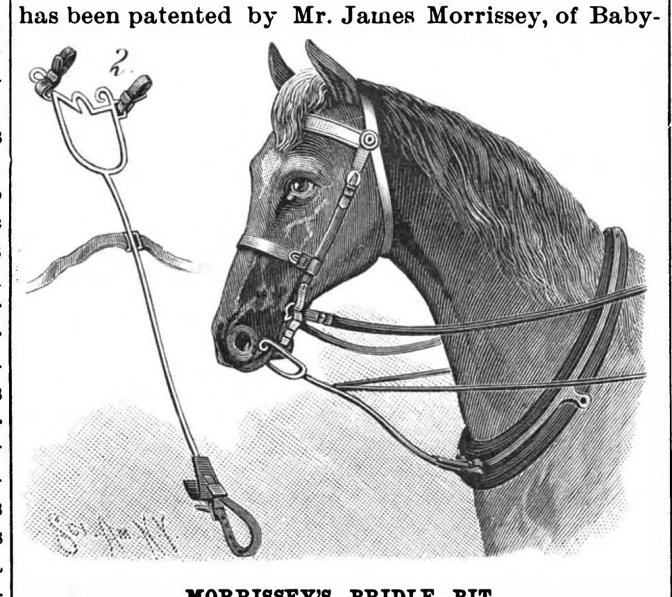 An illustration from Scientific American, Vol. 58, No. 12 (March 1888), 1888, leaf 6