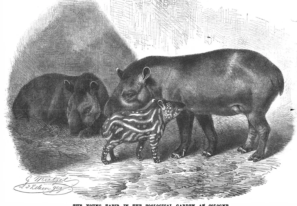 An illustration from Scientific American, Vol. 58, No. 13 (March 1888), 1888, leaf 7