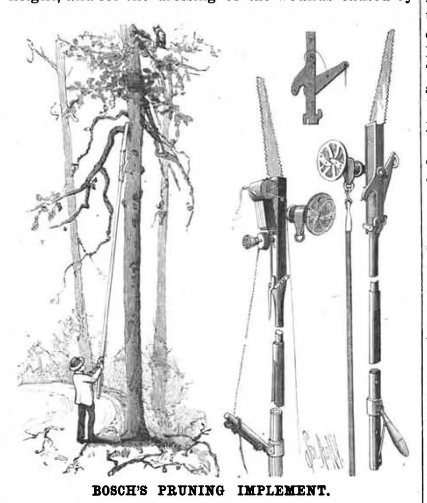 An illustration from Scientific American, Vol. 58, No. 14 (April 1888), 1888, leaf 10