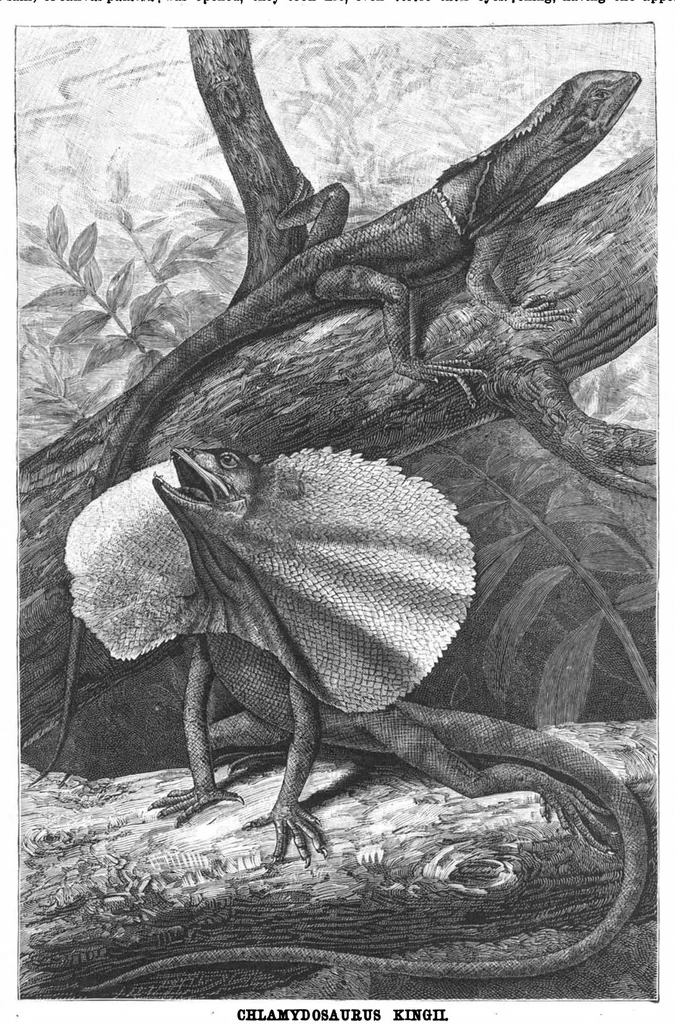 An illustration from Scientific American, Vol. 58, No. 14 (April 1888), 1888, leaf 8