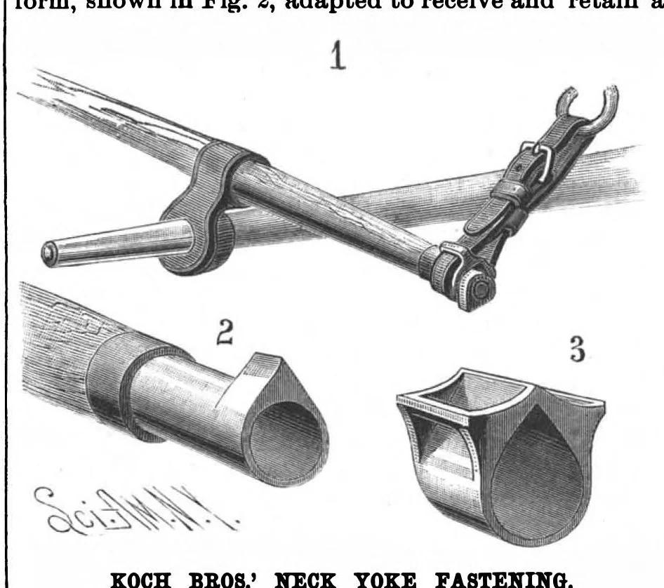 An illustration from Scientific American, Vol. 58, No. 16 (April 1888), 1888, leaf 3