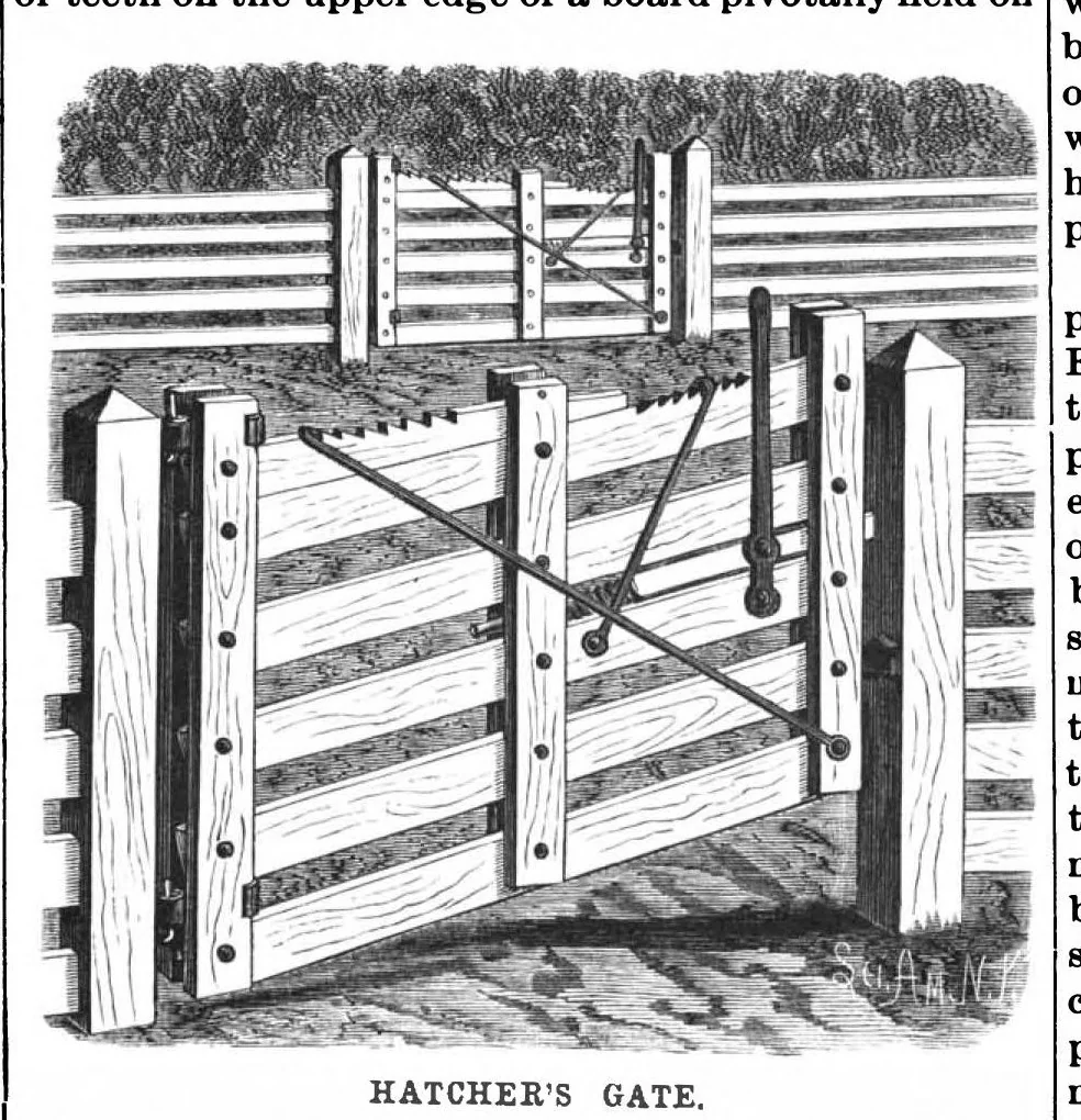An illustration from Scientific American, Vol. 58, No. 19 (May 1888), 1888, leaf 5