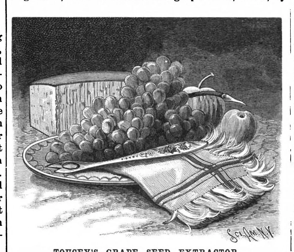 An illustration from Scientific American, Vol. 58, No. 21 (May 1888), 1888, leaf 5