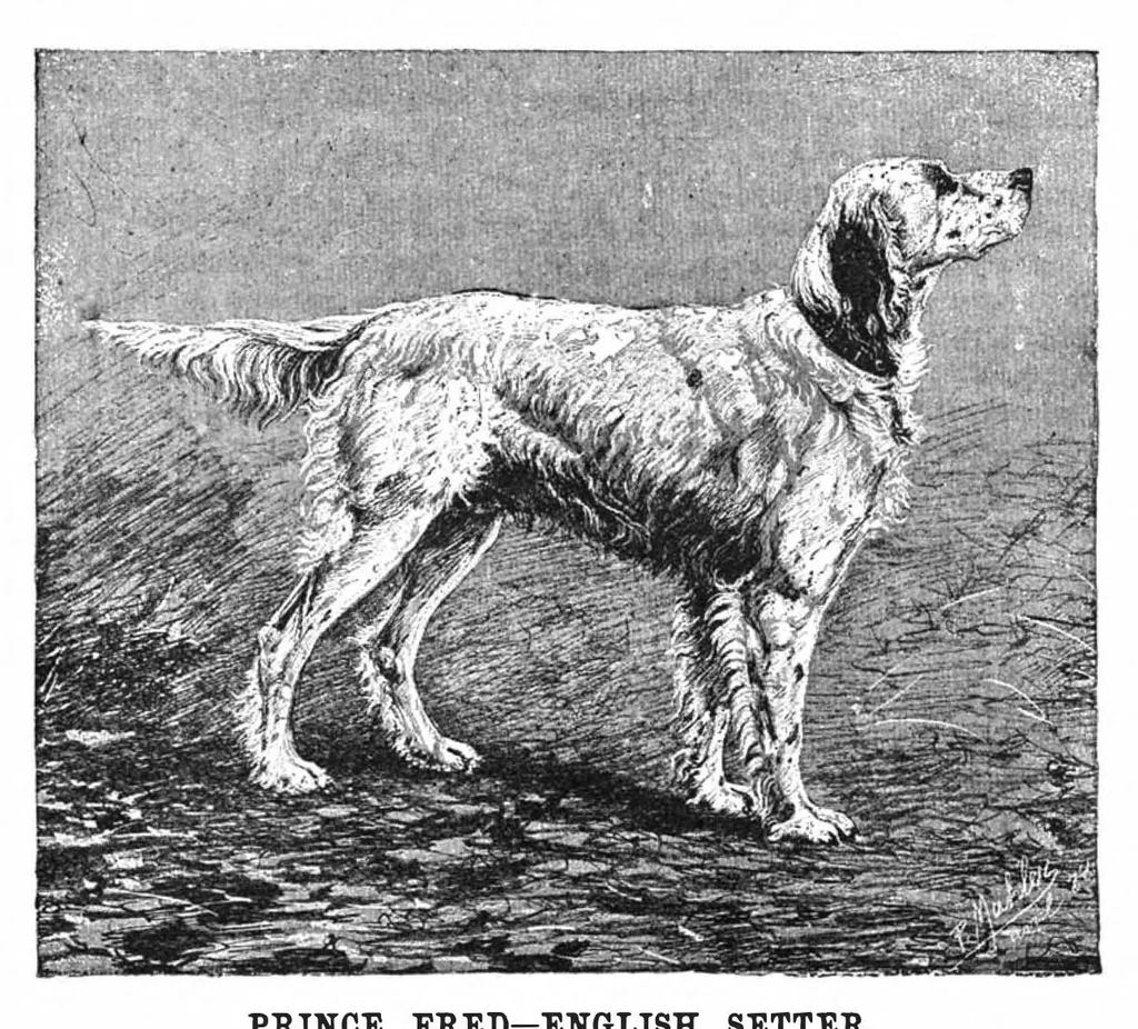 An illustration from Scientific American, Vol. 58, No. 21 (May 1888), 1888, leaf 8