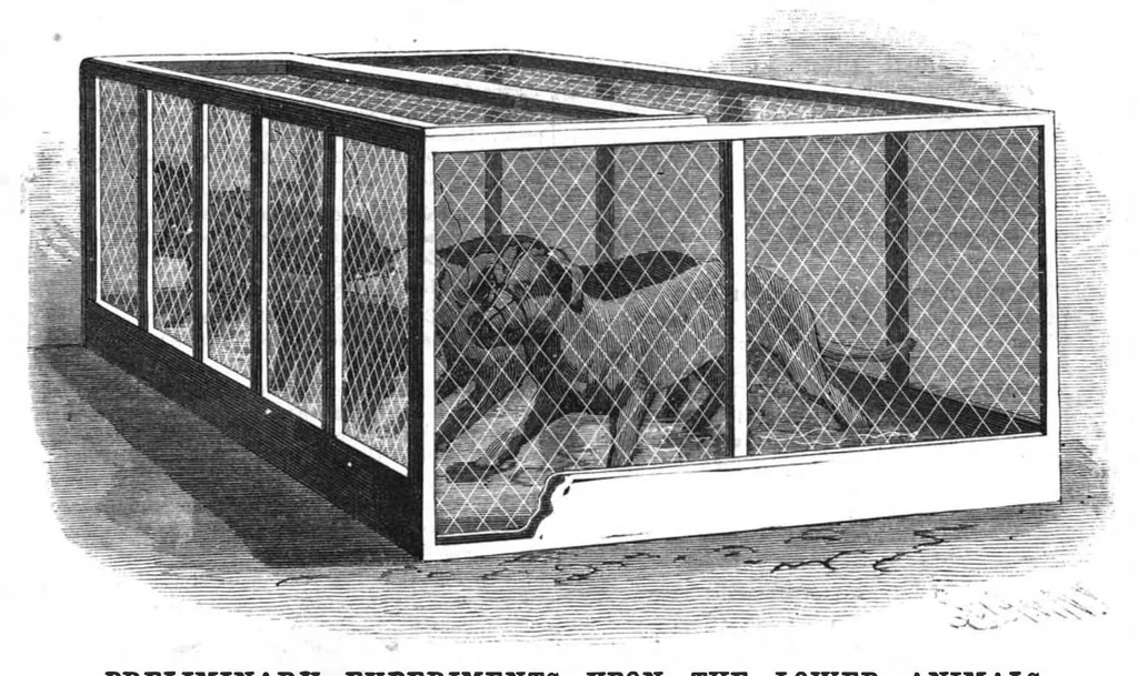 An illustration from Scientific American, Vol. 58, No. 26 (June 1888), 1888, leaf 8