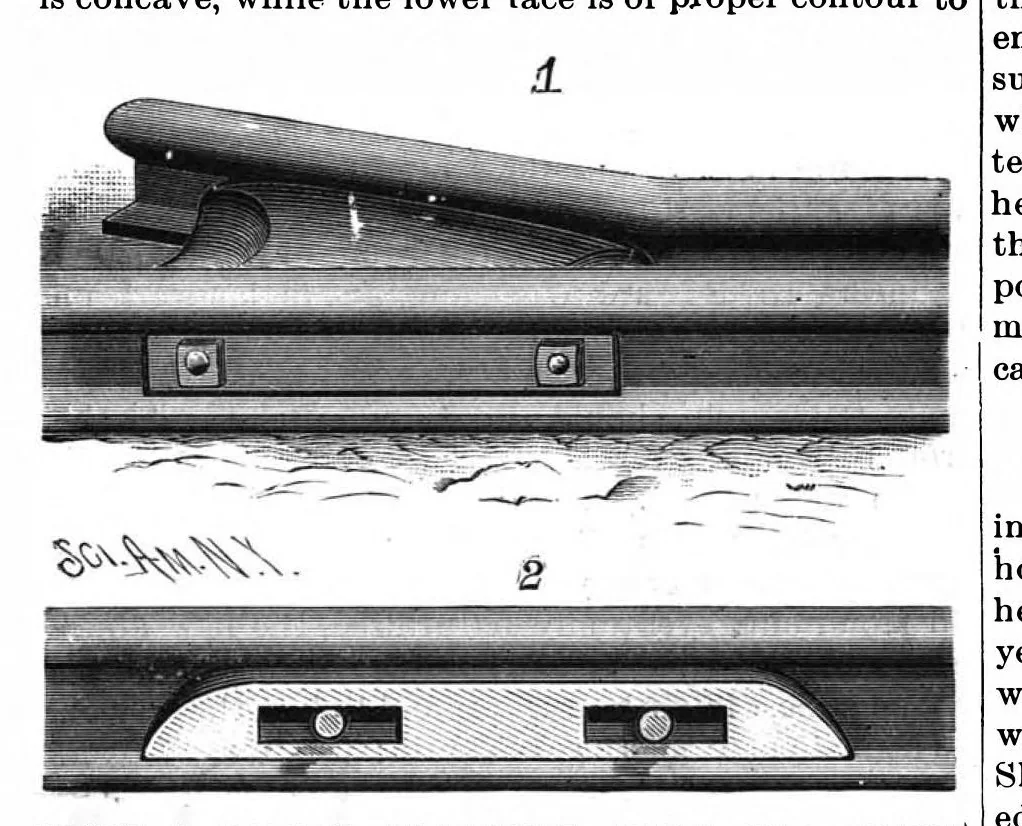 An illustration from Scientific American, Vol. 59, No. 1 (July 1888), 1888, leaf 5