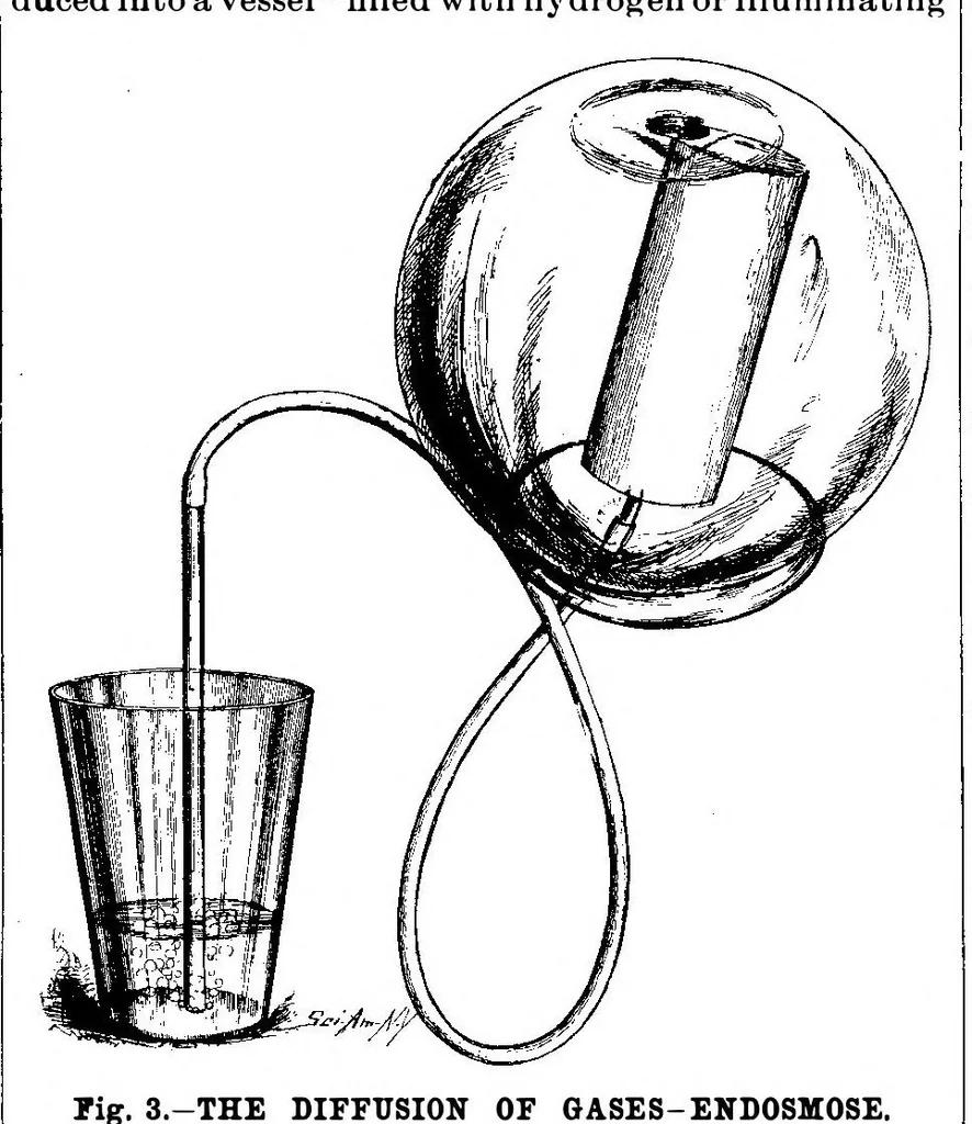 An illustration from Scientific American, Vol. 59, No. 3 (July 1888), 1888, leaf 10