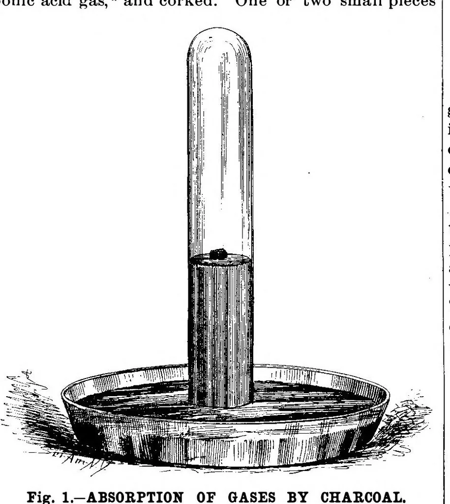 An illustration from Scientific American, Vol. 59, No. 3 (July 1888), 1888, leaf 10