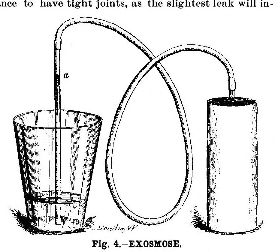 An illustration from Scientific American, Vol. 59, No. 3 (July 1888), 1888, leaf 10