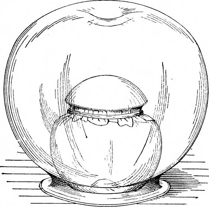 An illustration from Scientific American, Vol. 59, No. 4 (July 1888), 1888, leaf 8
