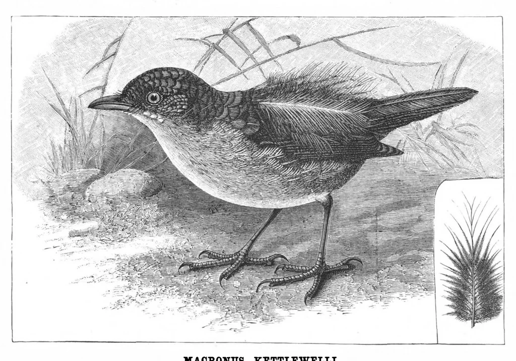 An illustration from Scientific American, Vol. 59, No. 7 (August 1888), 1888, leaf 8