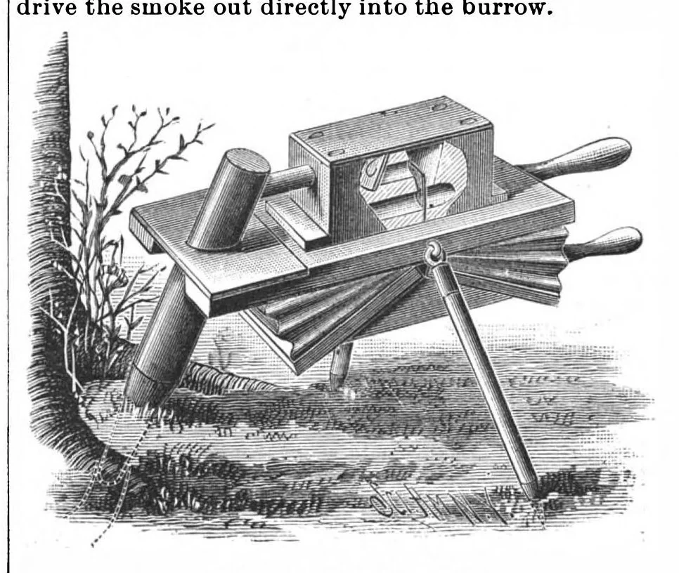 An illustration from Scientific American, Vol. 59, No. 8 (August 1888), 1888, leaf 3