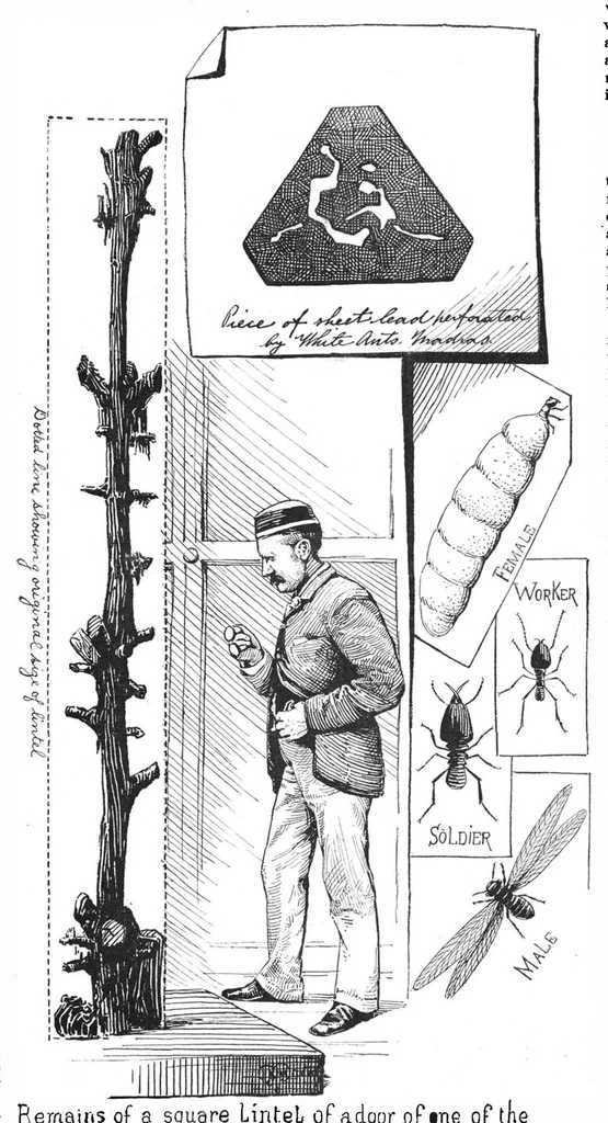 An illustration from Scientific American, Vol. 59, No. 10 (September 1888), 1888, leaf 8