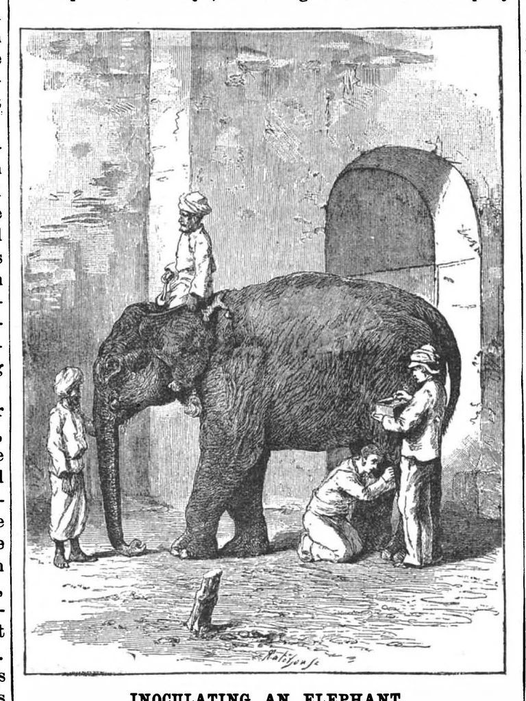 An illustration from Scientific American, Vol. 59, No. 11 (September 1888), 1888, leaf 10