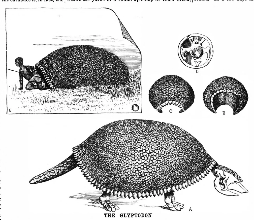 An illustration from Scientific American, Vol. 59, No. 15 (October 1888), 1888, leaf 10