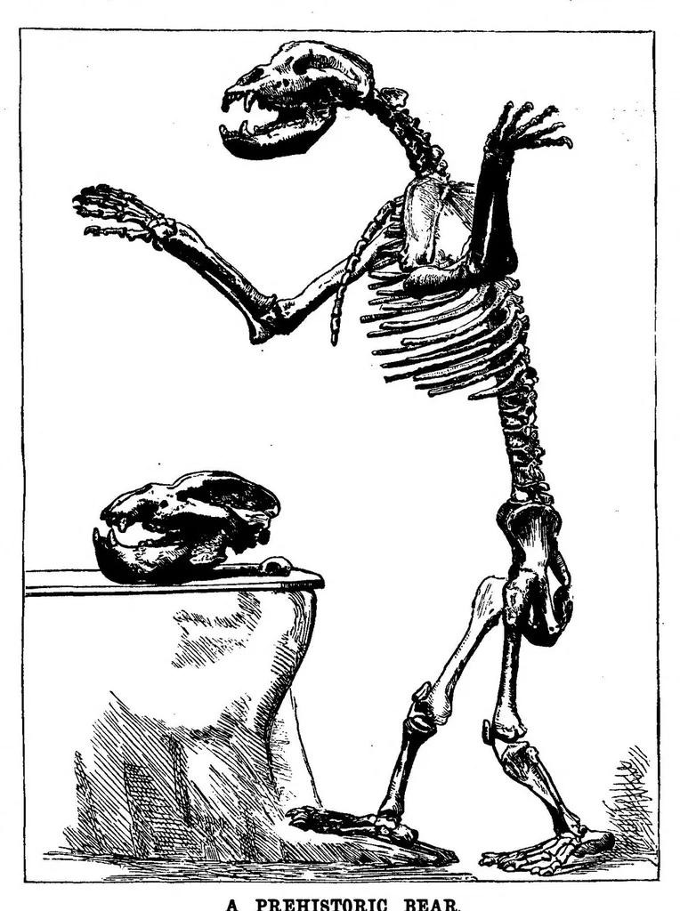 An illustration from Scientific American, Vol. 59, No. 16 (October 1888), 1888, leaf 8