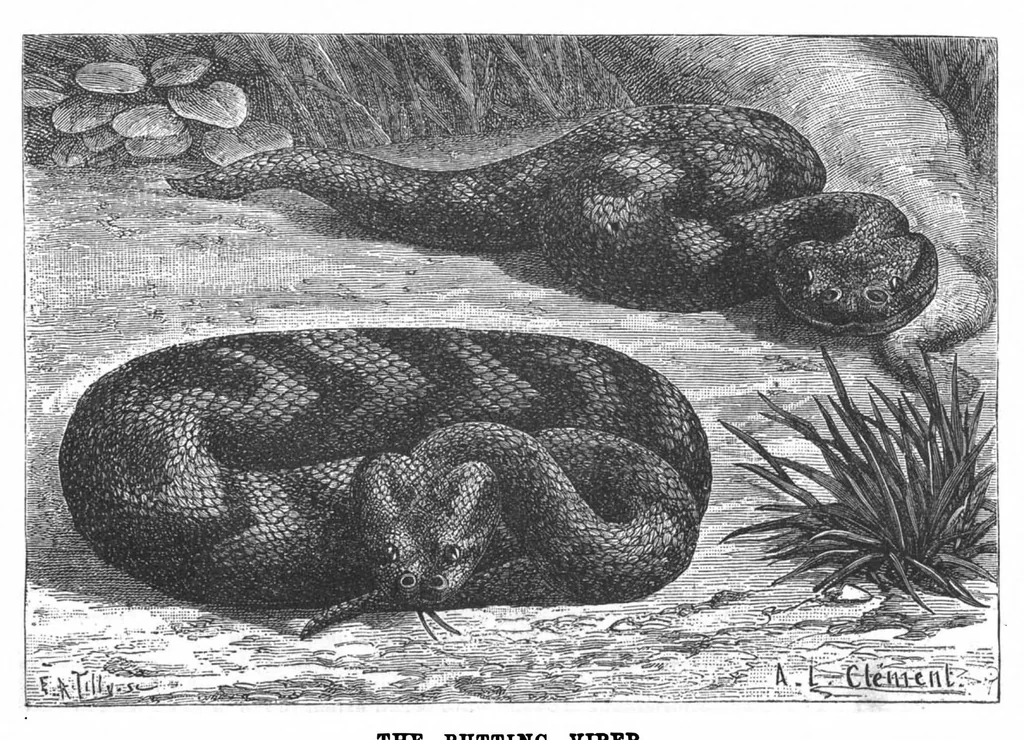An illustration from Scientific American, Vol. 59, No. 17 (October 1888), 1888, leaf 7