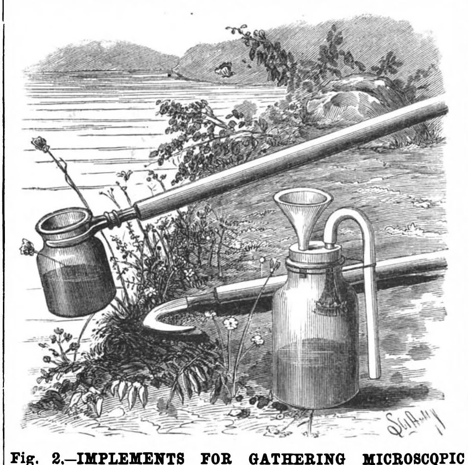 An illustration from Scientific American, Vol. 59, No. 18 (November 1888), 1888, leaf 10