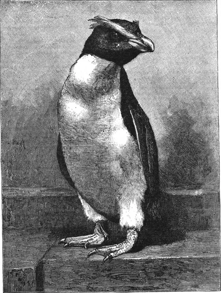 An illustration from Scientific American, Vol. 59, No. 23 (December 1888), 1888, leaf 10