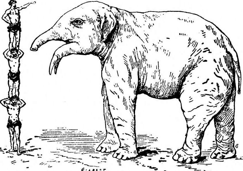 An illustration from Scientific American, Vol. 59, No. 26 (December 1888), 1888, leaf 8