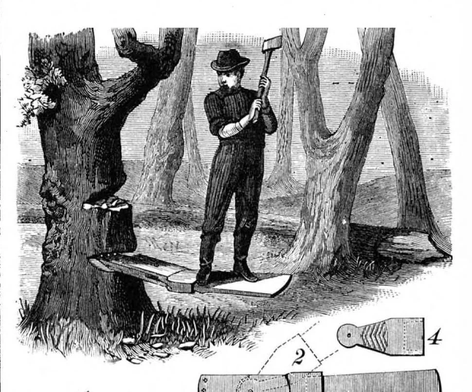 An illustration from Scientific American, Vol. 60, No. 14 (April 1889), 1889, leaf 3