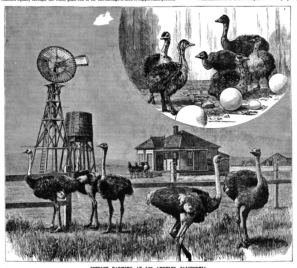 An illustration from Scientific American, Vol. 60, No. 14 (April 1889), 1889, leaf 4
