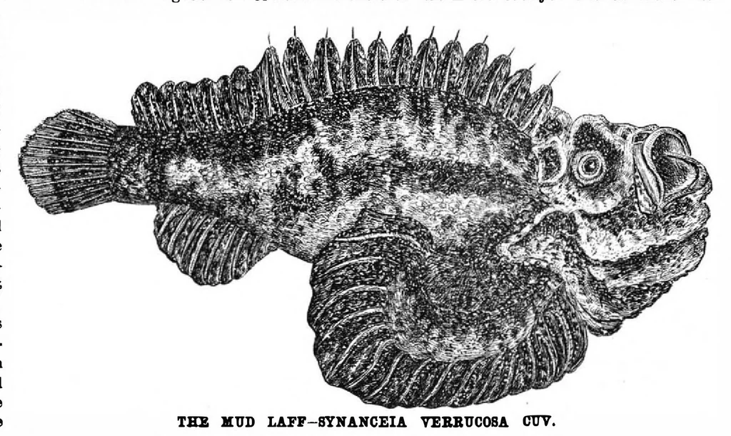 An illustration from Scientific American, Vol. 60, No. 15 (April 1889), 1889, leaf 4