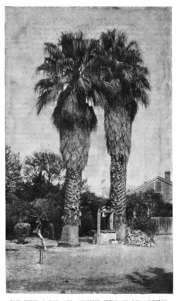 An illustration from Scientific American, Vol. 60, No. 17 (April 1889), 1889, leaf 8