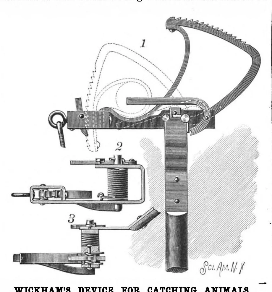 An illustration from Scientific American, Vol. 60, No. 26 (June 1889), 1889, leaf 4