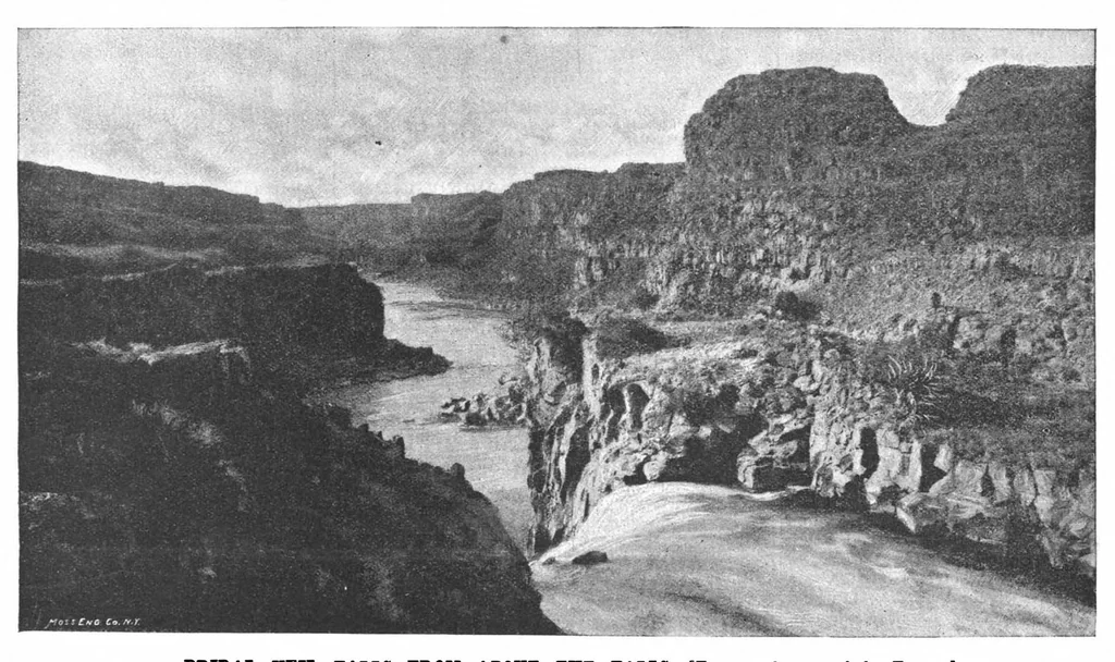 An illustration from Scientific American, Vol. 61, No. 1 (July 1889), 1889, leaf 1