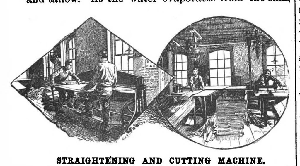 An illustration from Scientific American, Vol. 61, No. 1 (July 1889), 1889, leaf 6