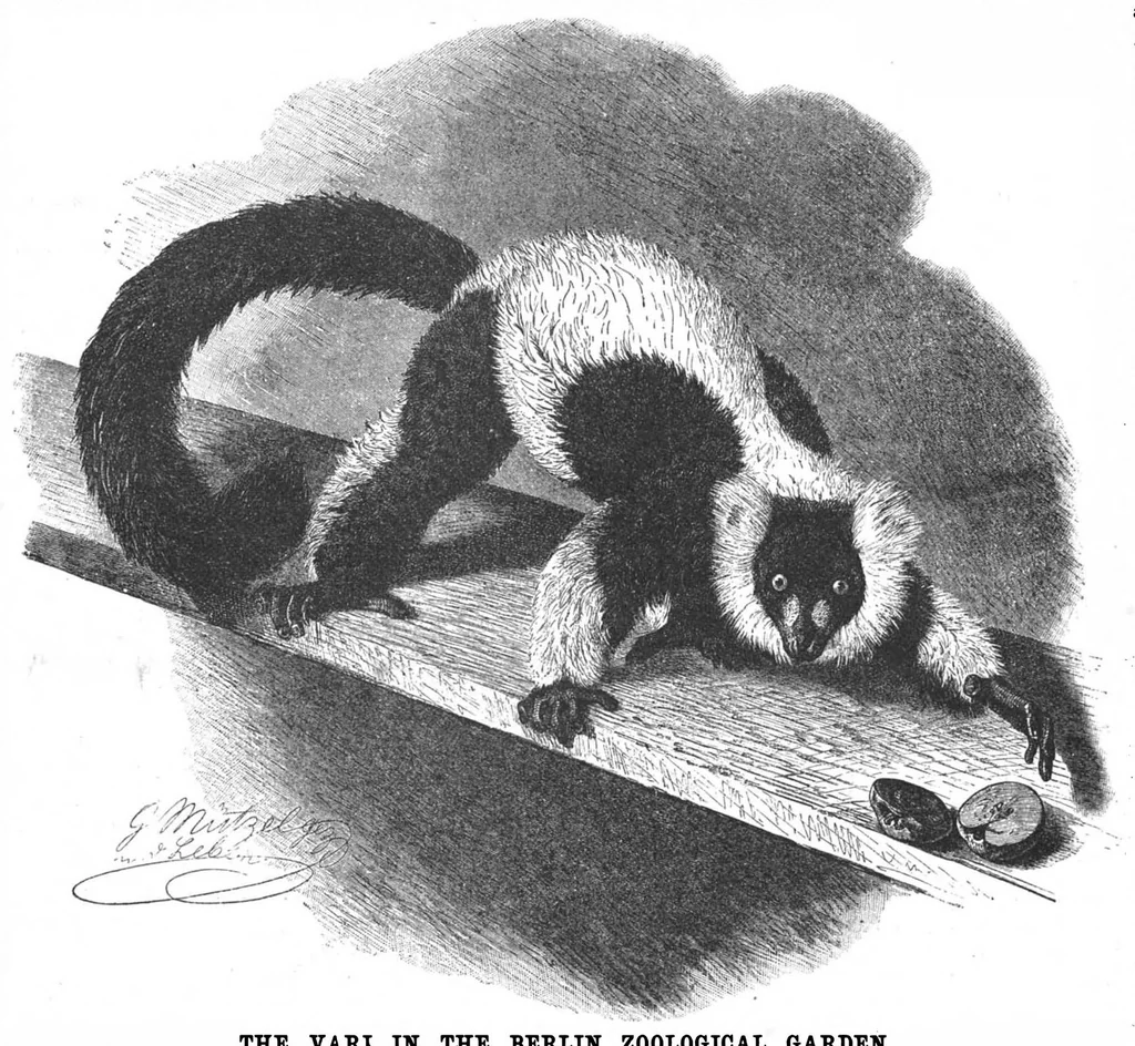 An illustration from Scientific American, Vol. 61, No. 1 (July 1889), 1889, leaf 9