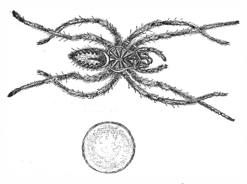 An illustration from Scientific American, Vol. 61, No. 2 (July 1889), 1889, leaf 8