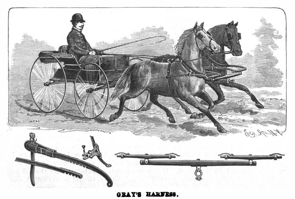 An illustration from Scientific American, Vol. 61, No. 4 (July 1889), 1889, leaf 4