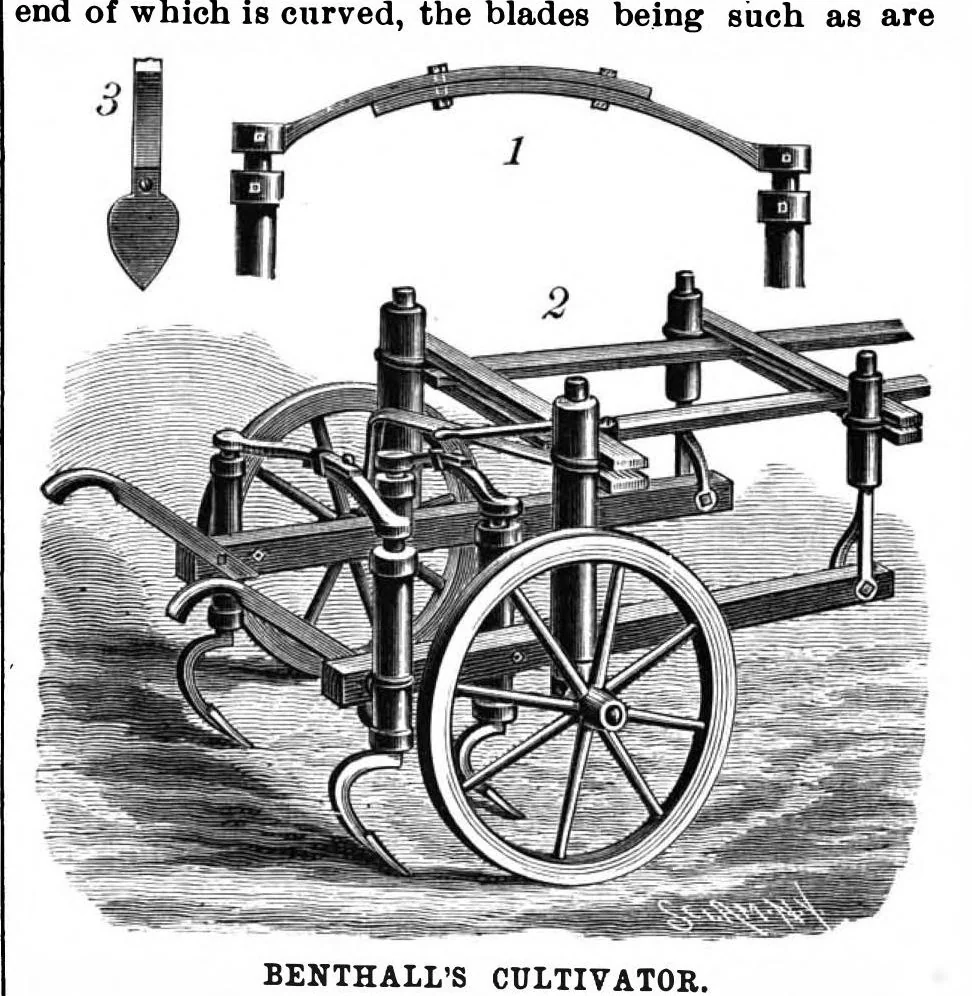 An illustration from Scientific American, Vol. 61, No. 5 (August 1889), 1889, leaf 4